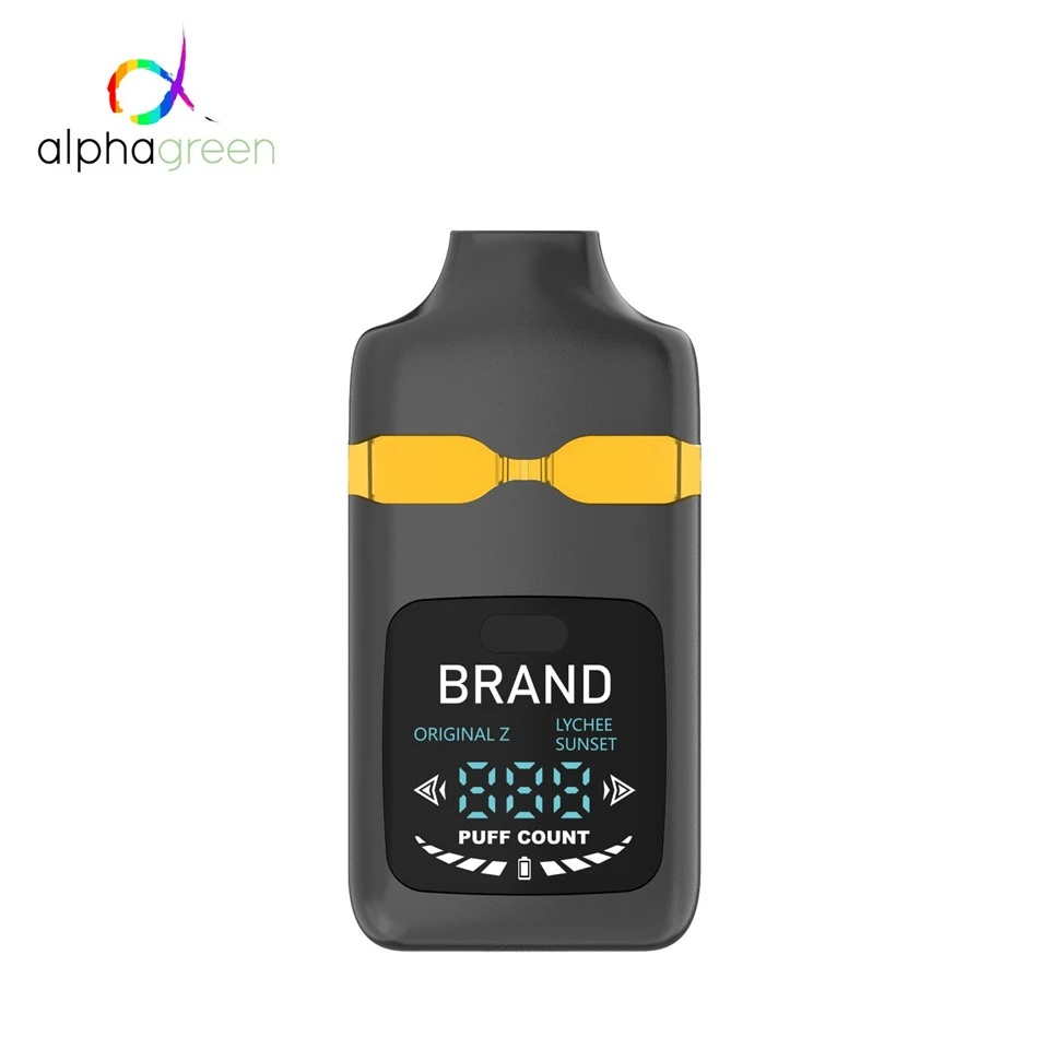 Dual Tank 1ml+1ml Disposable Vape With LCD Screen Rechargeable 400mAh USB-C best